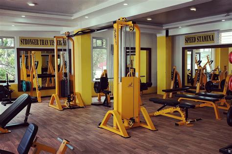 box-like metal frame found in most well equipped gyms:|octagon box gym frame.